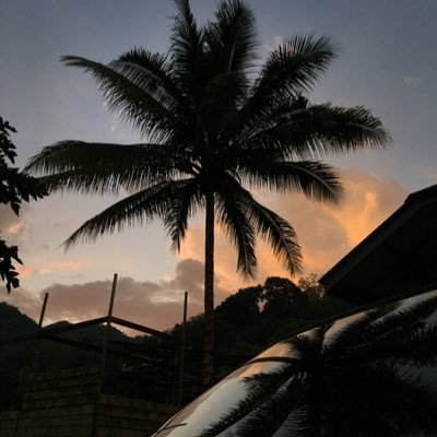 _sabrina0308's profile picture. Future RN🩺