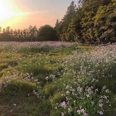 AndreaXimenaBu1's profile picture. 