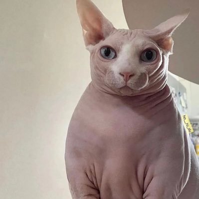 JohnsonKamonie's profile picture. How’s life