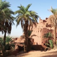 Ali Tehar (@tehar_ali) 's Twitter Profile