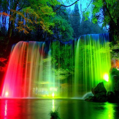 namseer's profile picture. I could have never been great.