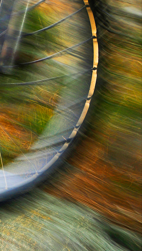 Bike art for cyclists, mountain bikers and racers.  Wheel spokes in motion framed artistic gallery wrap for a corporate office, gallery wall, home or gift.