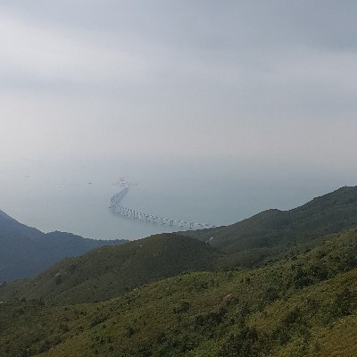 notforme86's profile picture. 