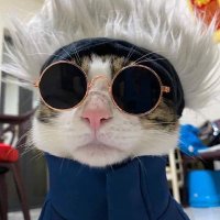 mariam🤎 (@mariammhmd0) Twitter profile photo