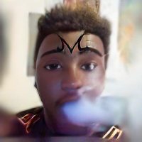 Hakaishin Vegeta Black (@stonerman08) 's Twitter Profile