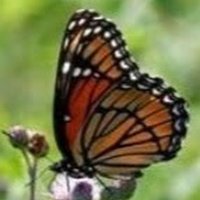 Marion County Park District(@MCParkDistrict) 's Twitter Profile Photo