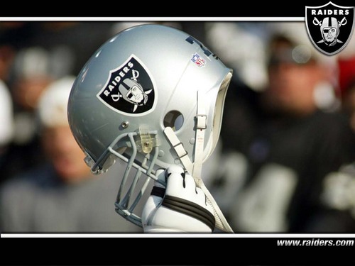 Die Hard RAIDER FAN!!!!! Have a Bachelor's degree in IT But work in the Transportation industry.