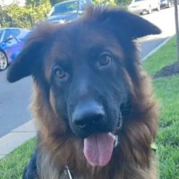 Orvel Bailey III (@orvelbaileyiii) 's Twitter Profile