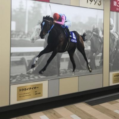 基本競馬垢です。トウカイテイオー🦄スペシャルウィーク🦄サートゥルナーリア🦄エフフォーリア🦄デアリングタクト🦄が大好き❤です。エピファ産駒🦄リオン産駒🦄応援中。たまに別の事呟きます。🔰サウナーです。高山一実💗さん菅原咲月💓さんに元気もらっている親父です。よろしくお願い申し上げます。