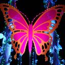 Lori Noble - @lrnoble - Twitter