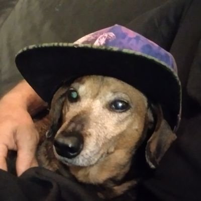Cobratron2's profile picture. 