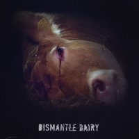 Alynn House (@alynnhouse) 's Twitter Profile Photo