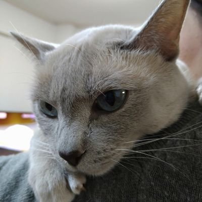 vLQQqMBqKvKei1a's profile picture. 