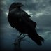 Hugin (@oldcrow2001) Twitter profile photo Hugin (@oldcrow2001) Twitter profile photo