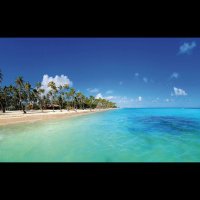 Cheat Lake Travel (@cheatlaketravel) 's Twitter Profile