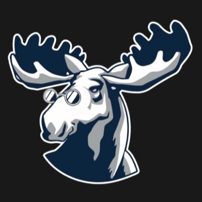 SmartMooseNFT's profile picture. SmartMoose NFTs grant you voting rights in the Impact DAO in which we can all collectively invest into new web3 technologies #jointheherd