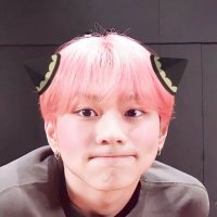 dian 'fb (@ohwonim) 's Twitter Profile