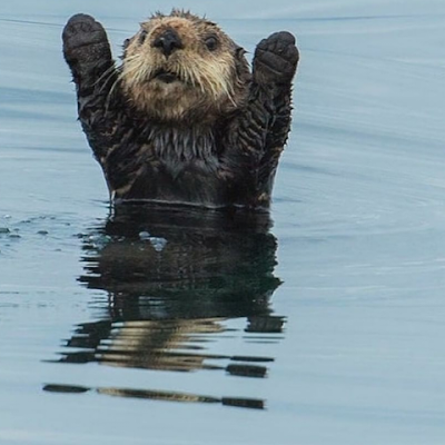 KenThielbar's profile picture. 