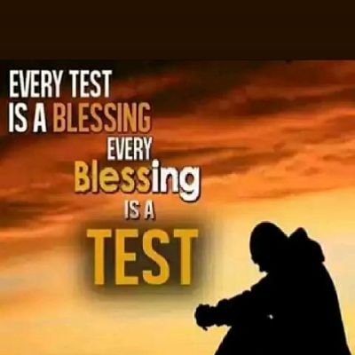 MDJAMAL54246615's profile picture. 