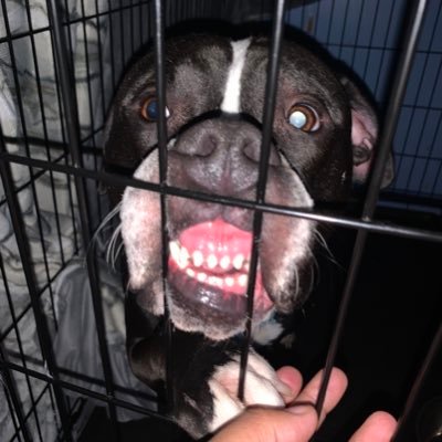 KattJuno's profile picture. - \\ you’re loved, you matter, you’re worth it ♥️ // -