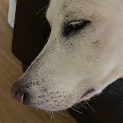 objJwljufdCW1LD's profile picture. ミュージカル好き(* ´ ˘ ` *) 命レベルで好き。 でも、新入りさん 声優さんにもはまりました…！ 守備範囲は加藤和樹さん全方位です！