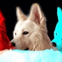 AFC Yomicvi (@pizzazseth38) 's Twitter Profile