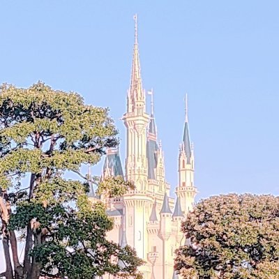 山口くんちゃんさんさんのプロフィール画像