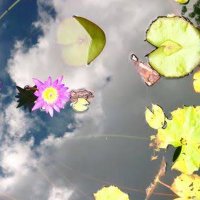 Sarah Smith (@kineticsarah) 's Twitter Profile Photo