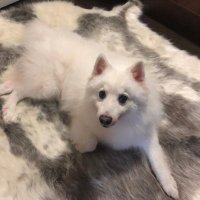 ElusivePeef's profile picture. Just hanging..