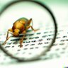 julianor's profile picture. Crypto. Security.  BEAST/CRIME SSL/TLS, Padding Oracle Attacks.
CEO & Founder @coinspect