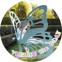 taku🌸jun🐥 ソチパリ散3Aオチ✨✨💫✨✨ (@yuzugoldmedal2) 's Twitter Profile