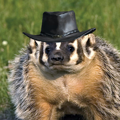 Badger that enjoys hunting the showdown.

