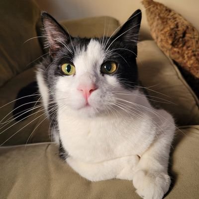 The_DerpyBruce Profile