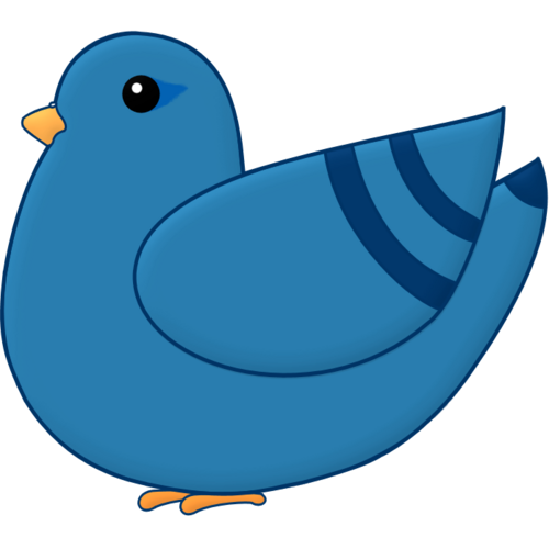 pigeonbasics's profile picture. Pigeonbasics - pigeon racing the basics.