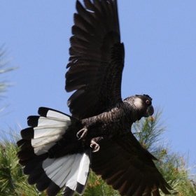 KonradDowse's profile picture. 