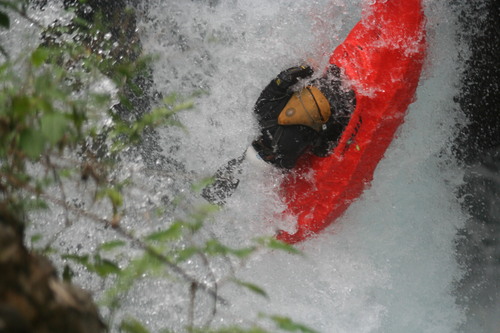 I am the owner of Esprit operating whitewater paddling adventures in Canada and Costa Rica.  I am passionate about river advocacy and social responsibility.