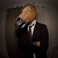 Horse Luis🐎(@Horse__Luis) 's Twitter Profile Photo