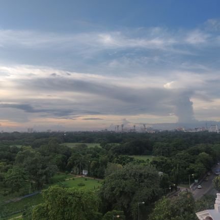 kokonut0101's profile picture. 