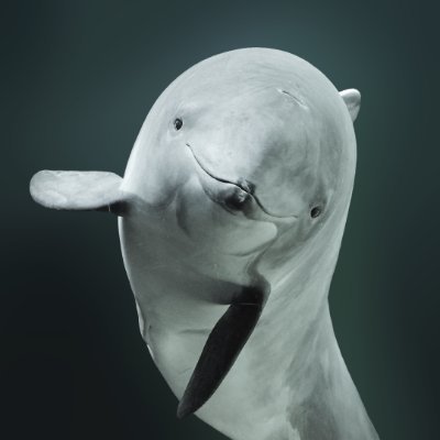 The Porpoise Conservation Society is a non-profit society dedicated to the conservation of all species of porpoise & their habitats and ecosystems. #Vaquita