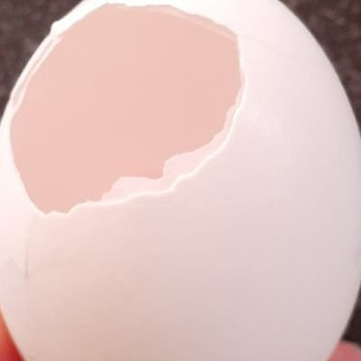 たまごさんのプロフィール画像