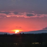 Andrew Zapp (@zapper41) 's Twitter Profile