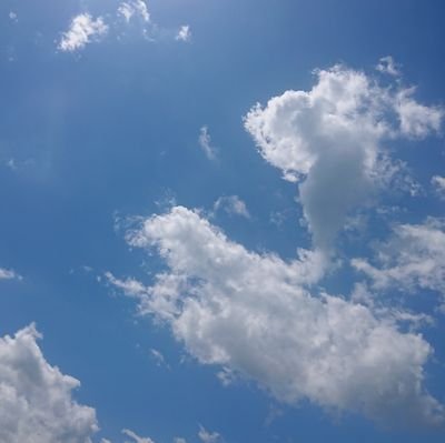 聖闘士歳野人さんのプロフィール画像