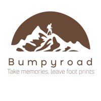 Bumpy Road(@bumpy_roadtz) 's Twitter Profile Photo