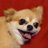 たかはま(ガオピン)のTwitterプロフィール画像
