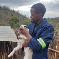 Mbongeni Gerald (@mbongenigerald) 's Twitter Profile Photo Mbongeni Gerald (@mbongenigerald) 's Twitter Profile Photo