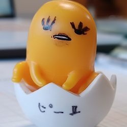 かずっさぁさんのプロフィール画像