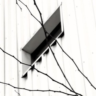 ArielInostroz18's profile picture. 