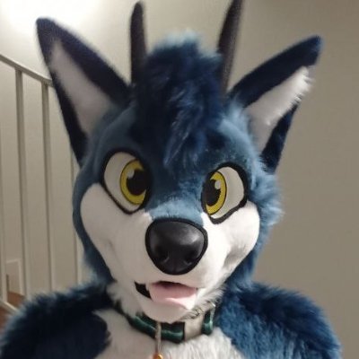 Fursuiting account for G.G. He/him -SFW-