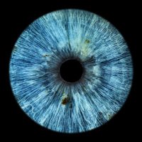 Monkey Head (@monkeyhead78) 's Twitter Profile