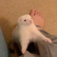 π₯ (@_ho_120) 's Twitter Profile